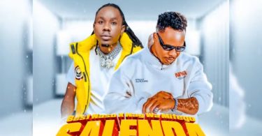 AUDIO Best Naso Ft Nay Wa Mitego – Salenda Download Mp3