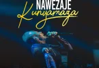 Dr. Ipyana – Nawezaje Kunyamaza | Uplifting Gospel Music