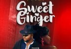 AUDIO Rhino The Don ft Appy – Sweet Ginger Mp3 Download Side Makini Blog