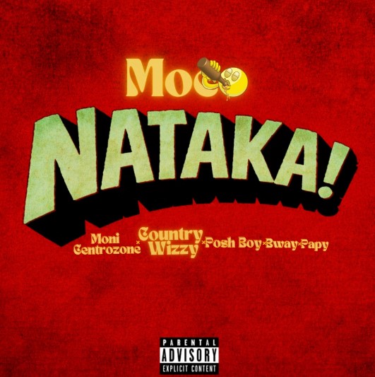 AUDIO Country Wizzy Ft Moni Cetrozone, Posh Boy, Bway, Papy – Nataka Download Mp3 Side Makini Blog