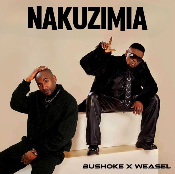AUDIO Bushoke Ft Weasel – Nakuzimia Download Mp3 Side Makini Blog
