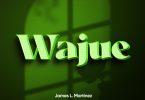AUDIO Dayoo Ft. James L. Martinez – Wajue Remix Download Mp3 Side Makini Blog