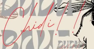 AUDIO Dudu Baya – Chidi (Diss Track) Download Mp3 Side Makini Blog