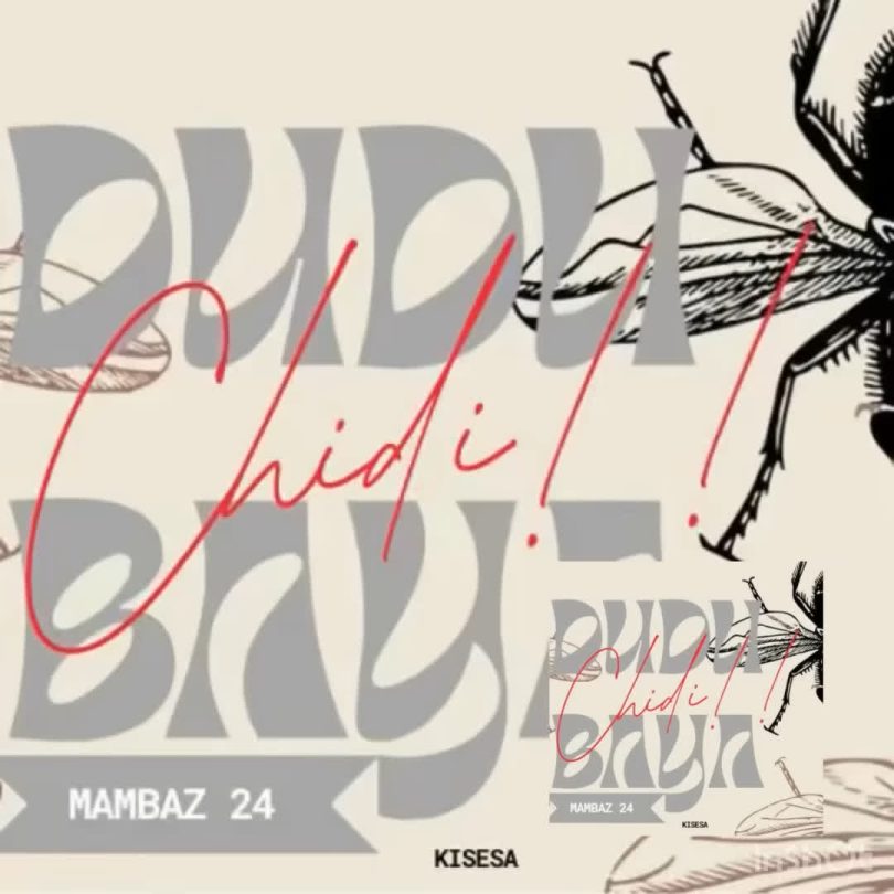 AUDIO Dudu Baya – Chidi (Diss Track) Download Mp3 Side Makini Blog