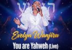 AUDIO Evelyn Wanjiru – You Are Yahweh Download Mp3 Side Makini Blog