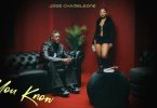AUDIO Jose Chameleone – You Know Download Mp3 Side Makini Blog