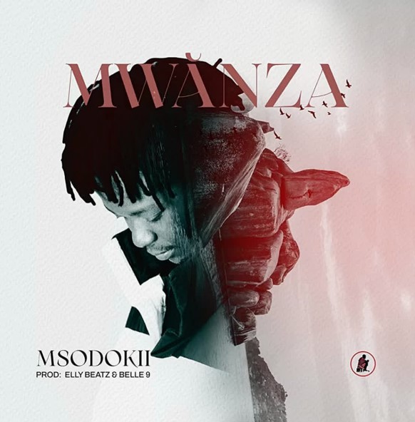 AUDIO Msodokii – Mwanza Download Mp3 Side Makini Blog