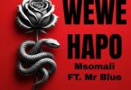AUDIO Msomali Ft Mr Blue – Wewe Hapo Download Mp3 Side Makini Blog