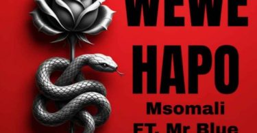 AUDIO Msomali Ft Mr Blue – Wewe Hapo Download Mp3 Side Makini Blog