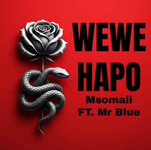 AUDIO Msomali Ft Mr Blue – Wewe Hapo Download Mp3 Side Makini Blog