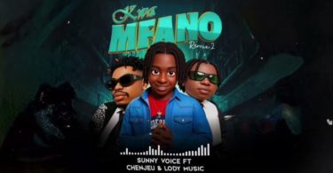 AUDIO Sunny Voice Ft Chenjeu & Lody Music – Kwa Mfano (Remix 2) Download Mp3 Side Makini Blog