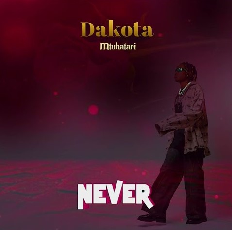 AUDIO Dakota Mtu Hatari – Never Download Mp3 Side Makini Blog