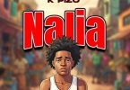 AUDIO K Pizo – Nalia Download Mp3 Side Makini Blog