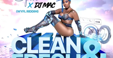 AUDIO Spice, DJ Mac & CrashDummy – Clean and Fresh Download Mp3 Side Makini Blog