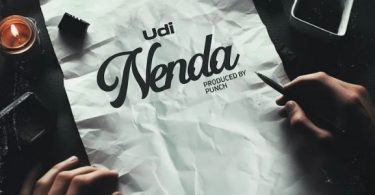 AUDIO Udi – Nenda Download Mp3 Side Makini Blog