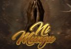 AUDIO Platform Ft. Mr Seed – Ni Mungu Download Mp3 Side Makini Blog