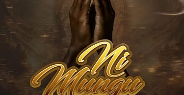 AUDIO Platform Ft. Mr Seed – Ni Mungu Download Mp3 Side Makini Blog