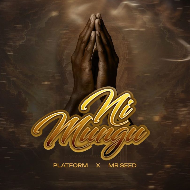 AUDIO Platform Ft. Mr Seed – Ni Mungu Download Mp3 Side Makini Blog